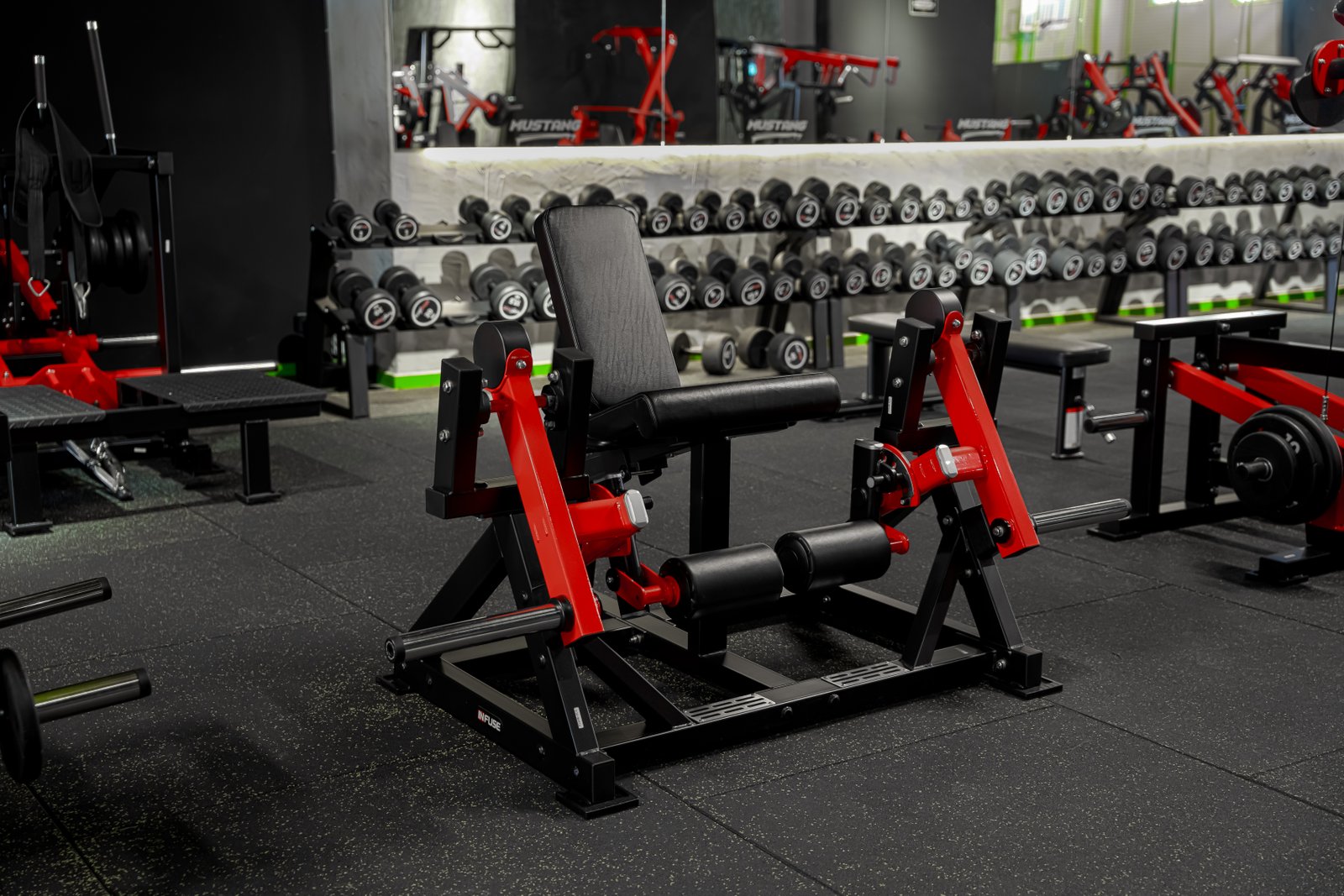 Mustang Gym Projesi